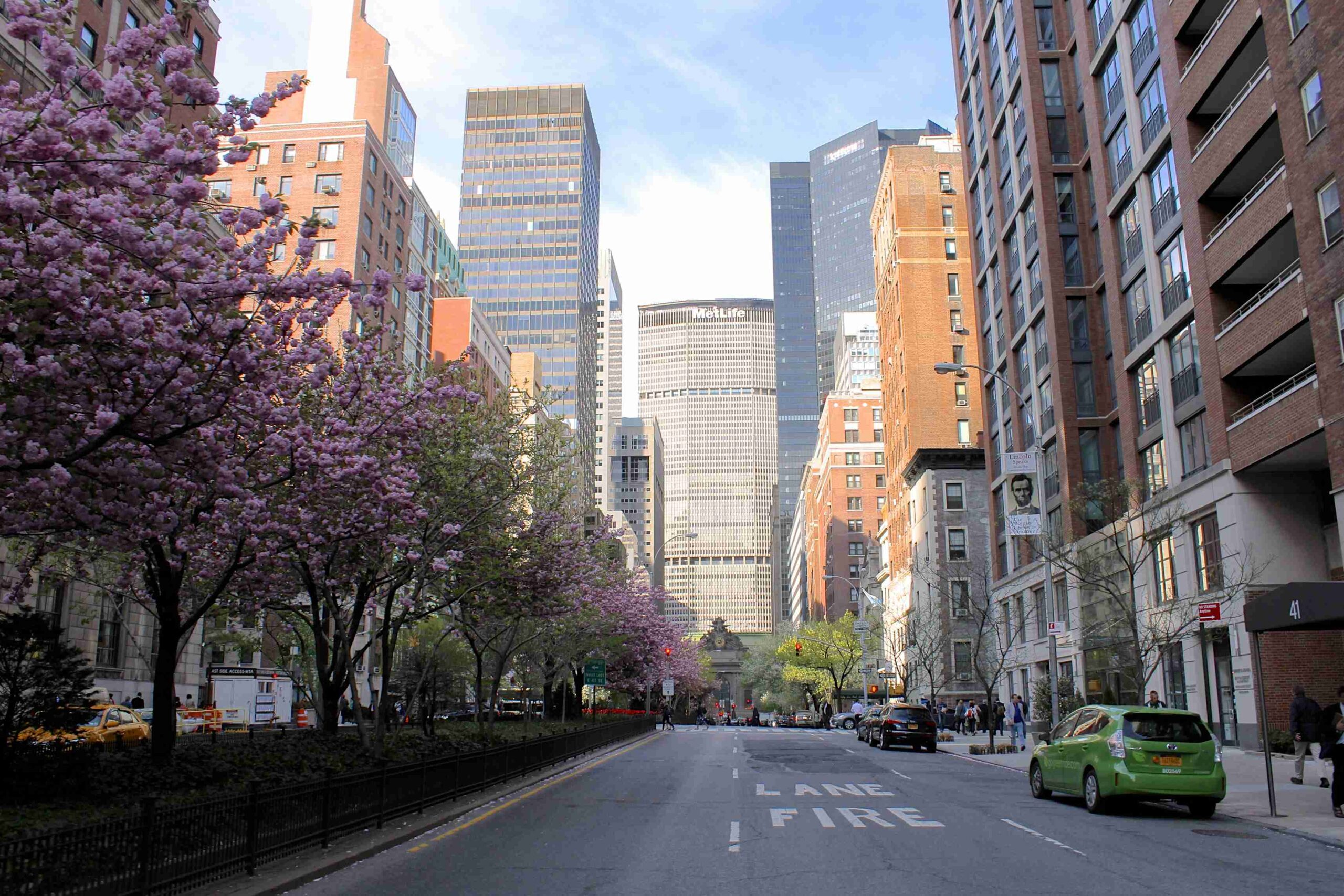Park Avenue (©Leslie Cross)