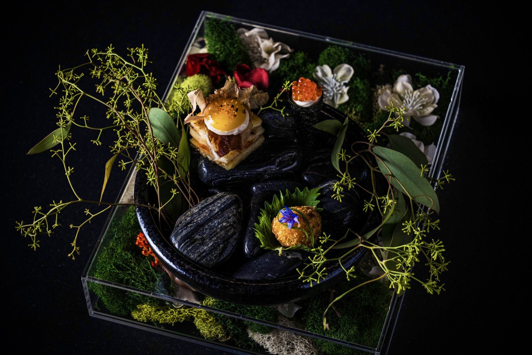 SHŌ (©Mistey Nguyen)