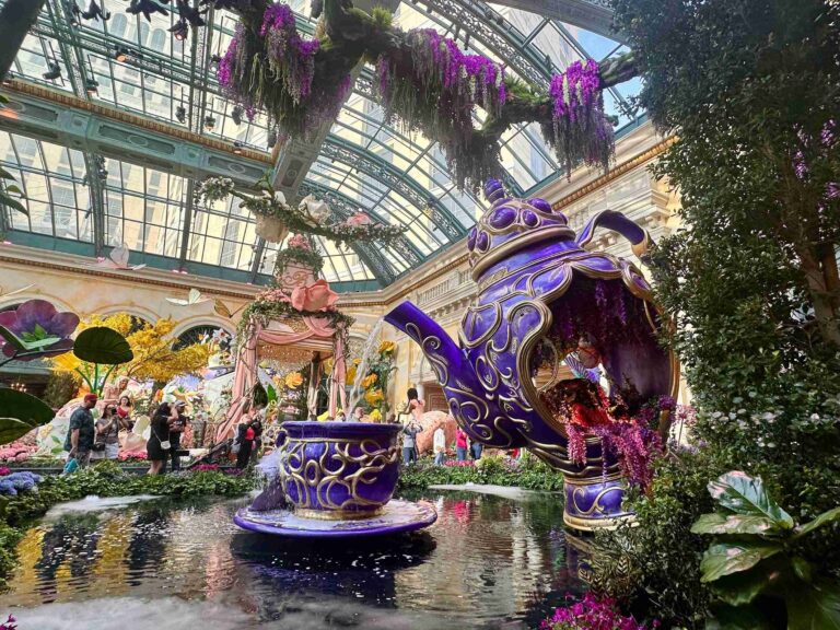 Bellagio Conservatory & Botanical Gardens (©Melanie Lee)