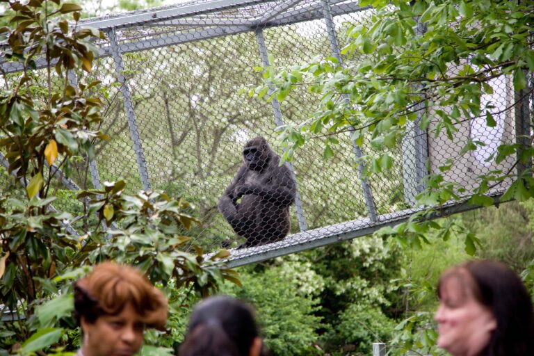 Philadelphia Zoo (Photo requires credit: Photo by C. Smyth for VISIT PHILADELPHIA®)