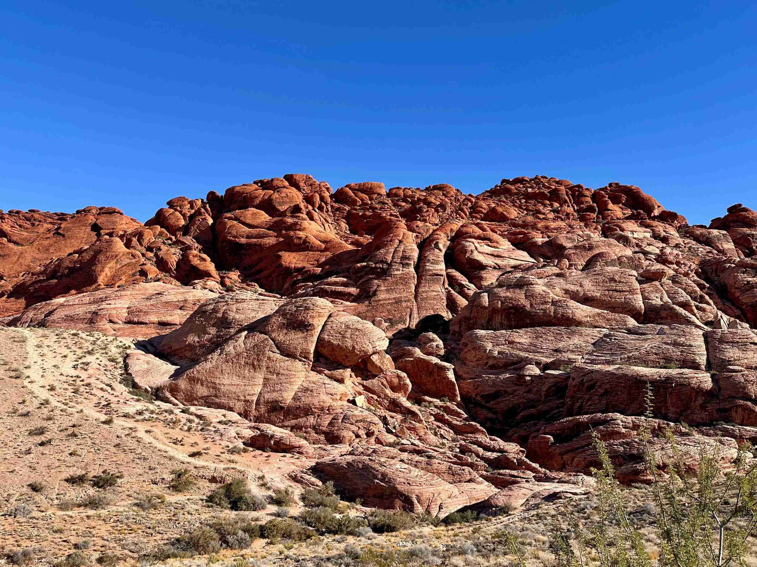 Red Rock Canyon with Pink Jeep Tours (©Melanie Lee)