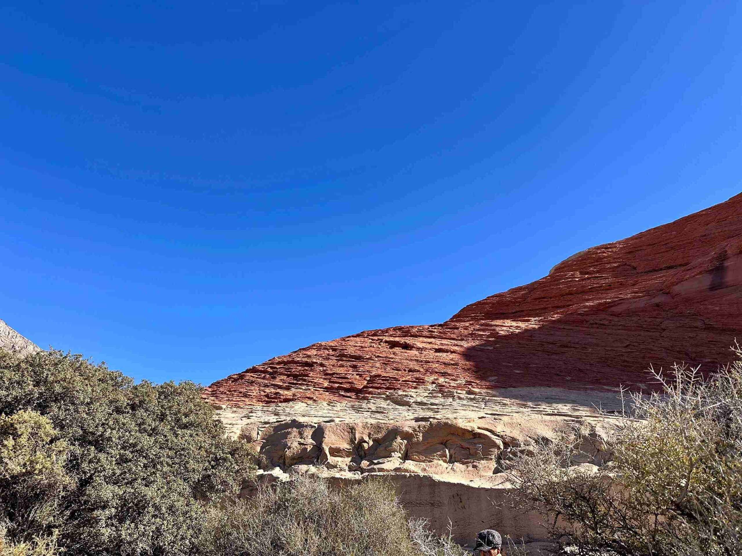 Red Rock Canyon with Pink Jeep Tours (©Melanie Lee)