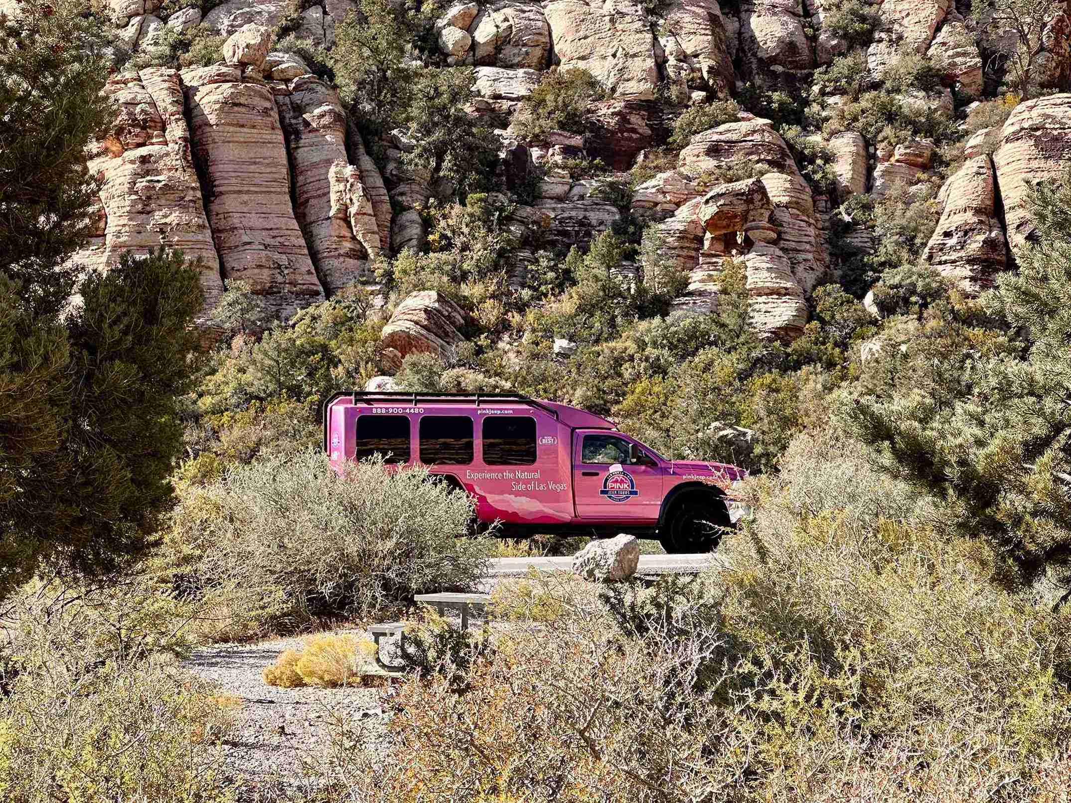 Red Rock Canyon with Pink Jeep Tours (©Melanie Lee)