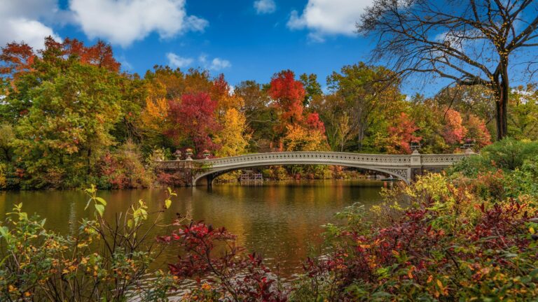 Bow Bridge (©Pierre Blache) Bow Bridge (©Pierre Blache)