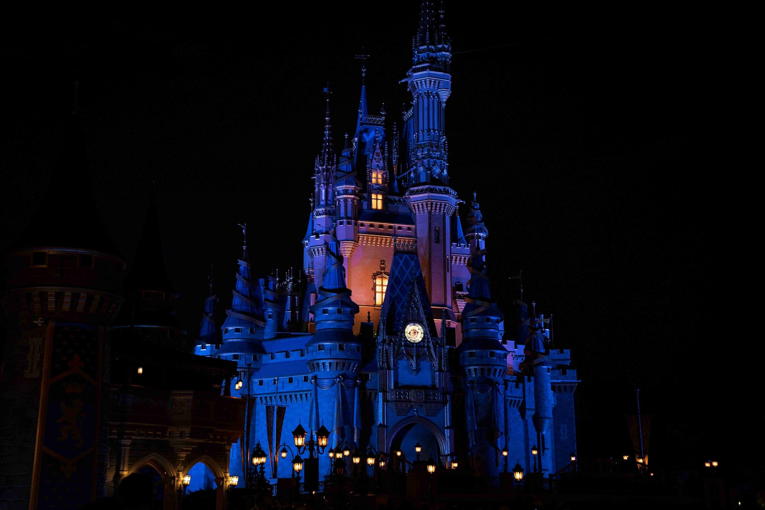 Disney's Magic Kingdom for Beginners (©RD Smith)