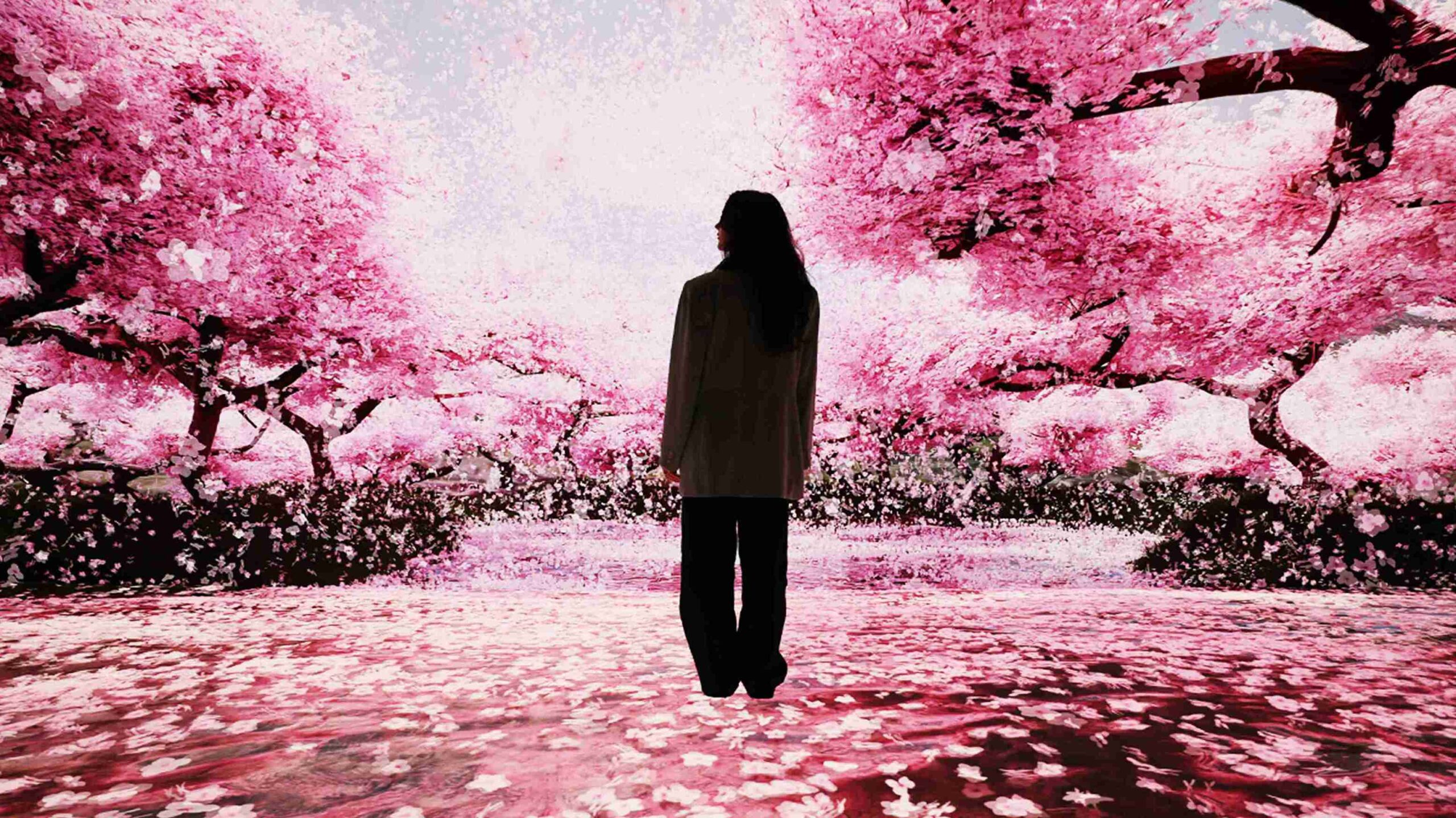 (Courtesy Mercer Labs)