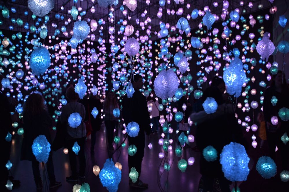 New Museum of Contemporary Art (Courtesy Olivia K Yelp)