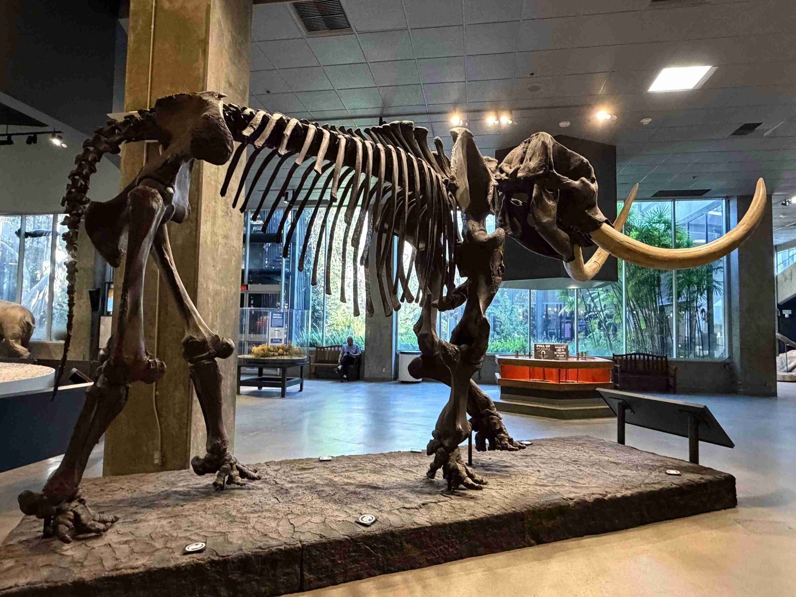 La Brea Tar Pits (©Melanie Lee)