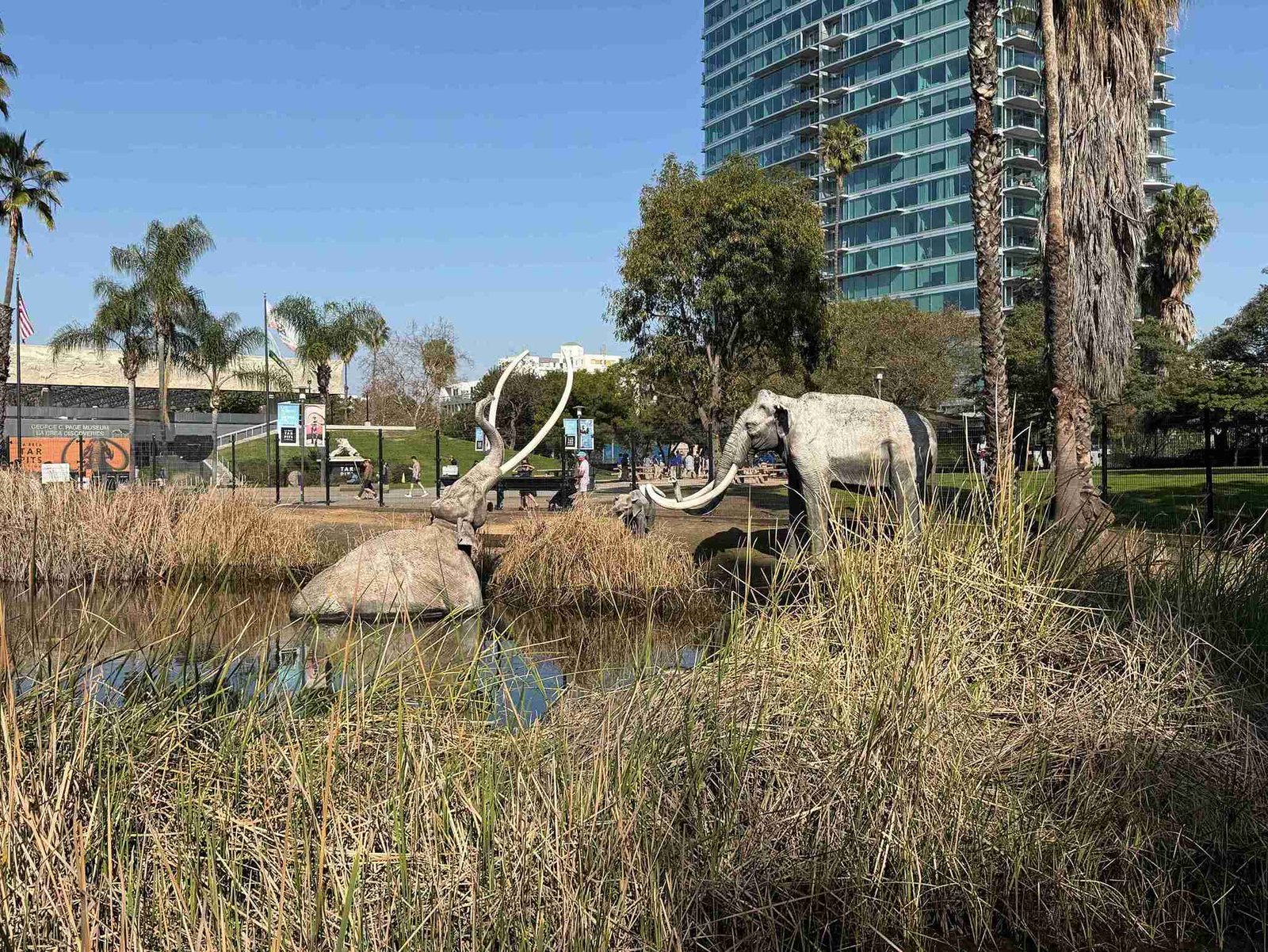La Brea Tar Pits (©Melanie Lee)