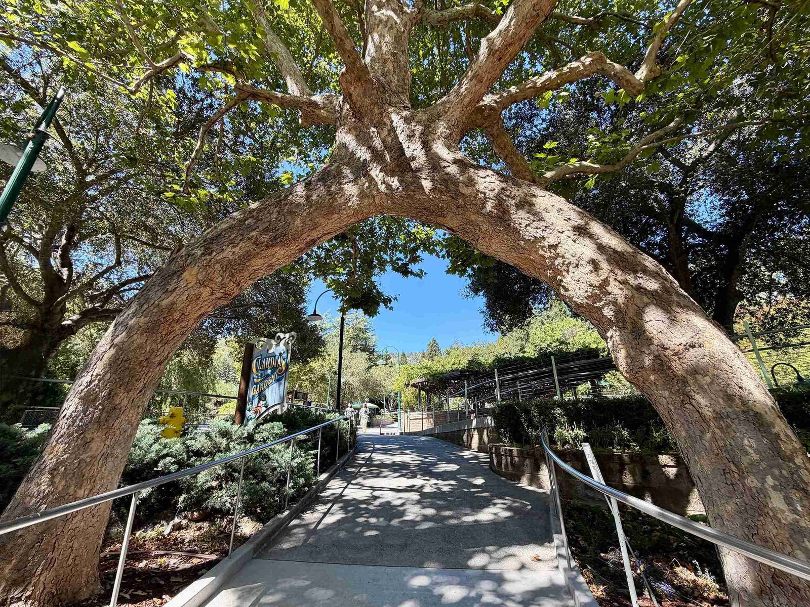 Gilroy Gardens Circus Tree (©Melanie Lee)