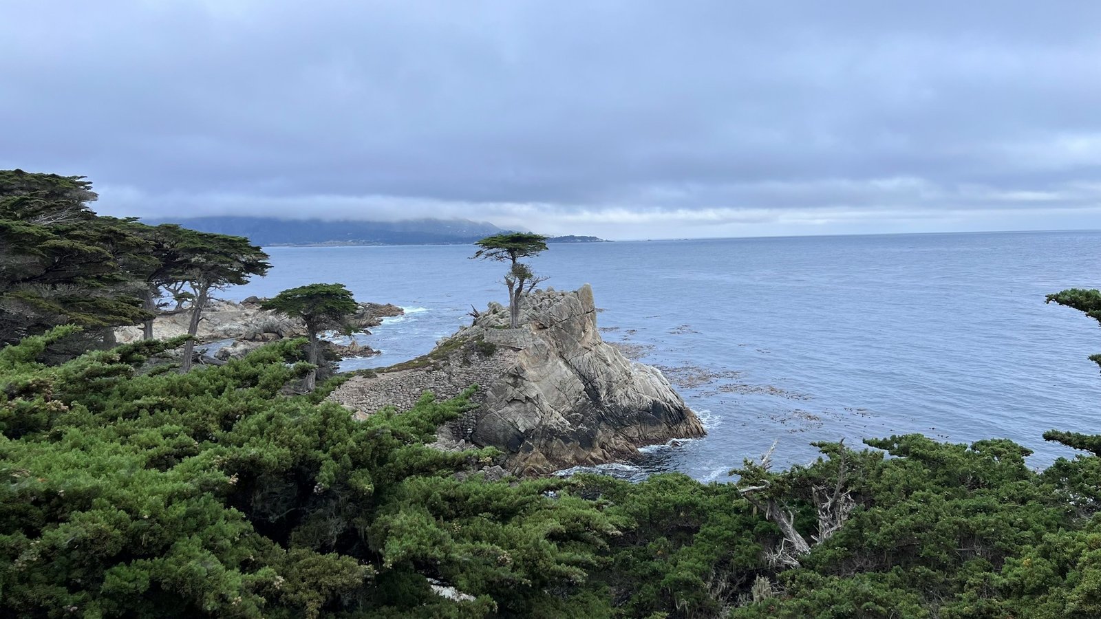 17-Mile Drive and the Lone Cypress (©Soowan Jang)
